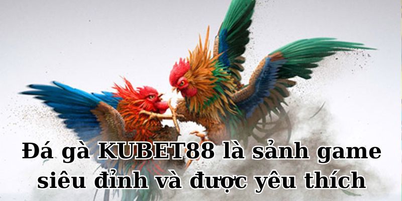 Đá gà KUBET88 là sảnh game siêu đỉnh và được yêu thích